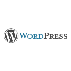 Wordpress Wordpress - ORION WEB partner