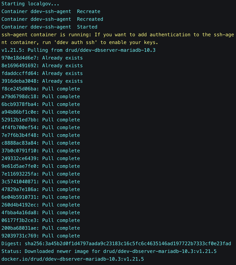 ddev start Terminal output 1